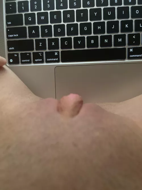 How’s my lady boner?