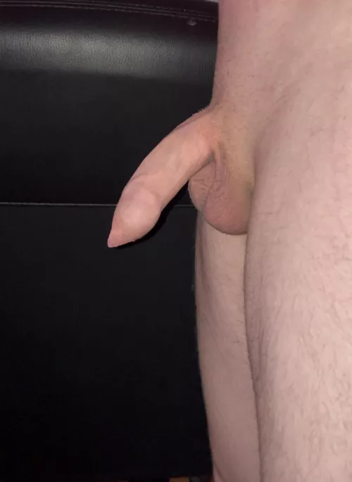 Hows my semihard looking?