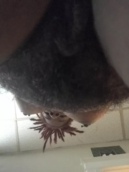 Howβs the view ?