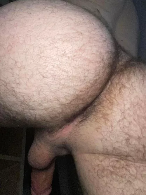 Howβs the view of my hairy ass?