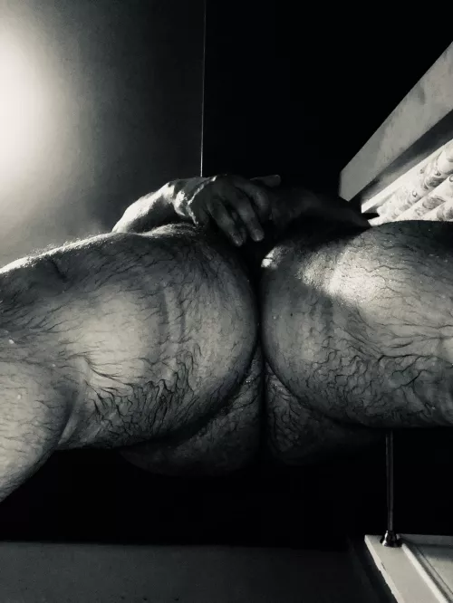 Hump day! Just need someone to hump now.