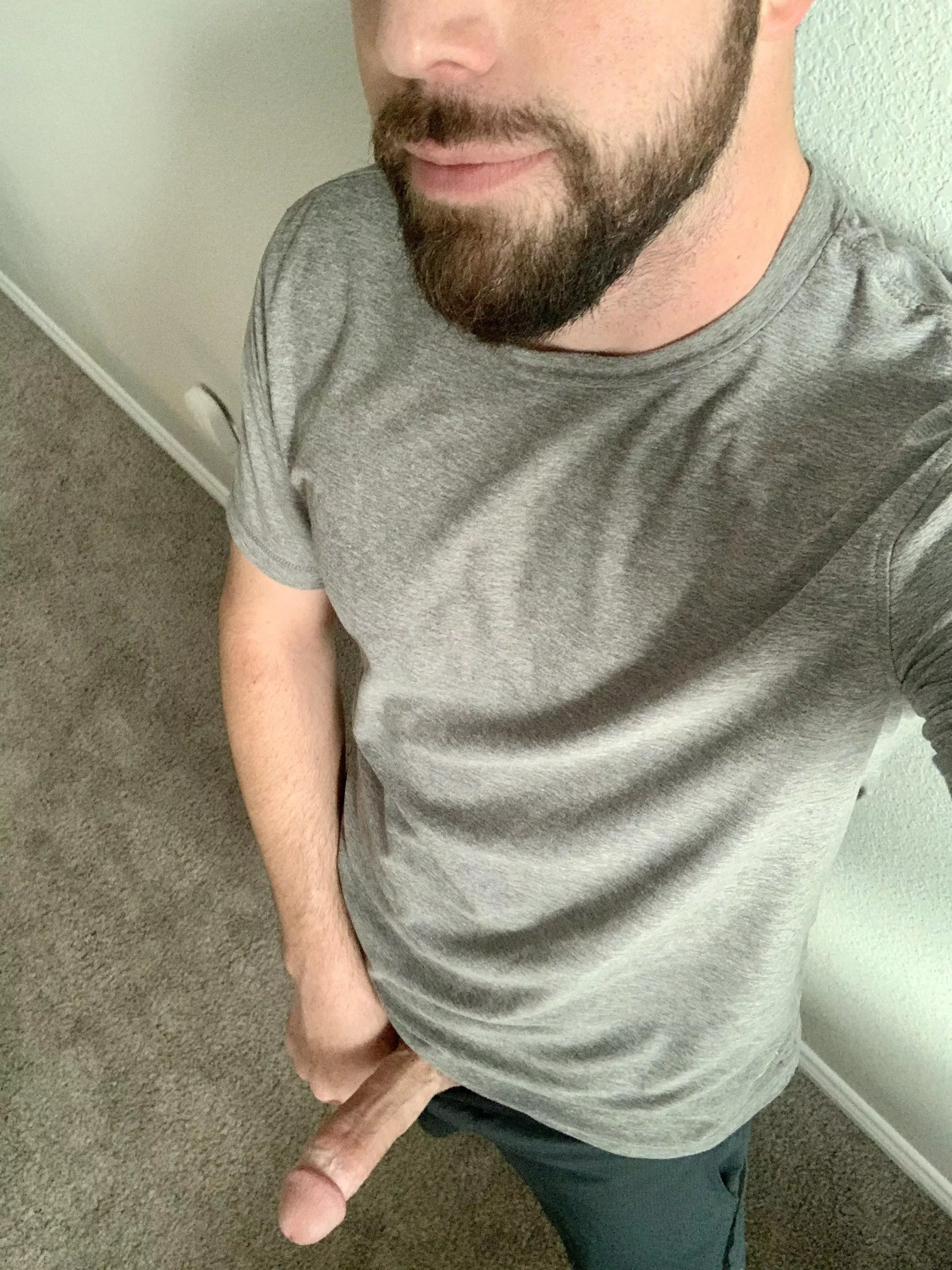Hungover and hard. Hungover and hard.