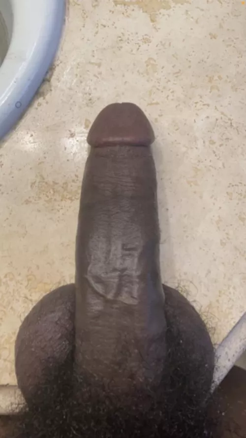 Hungry ?