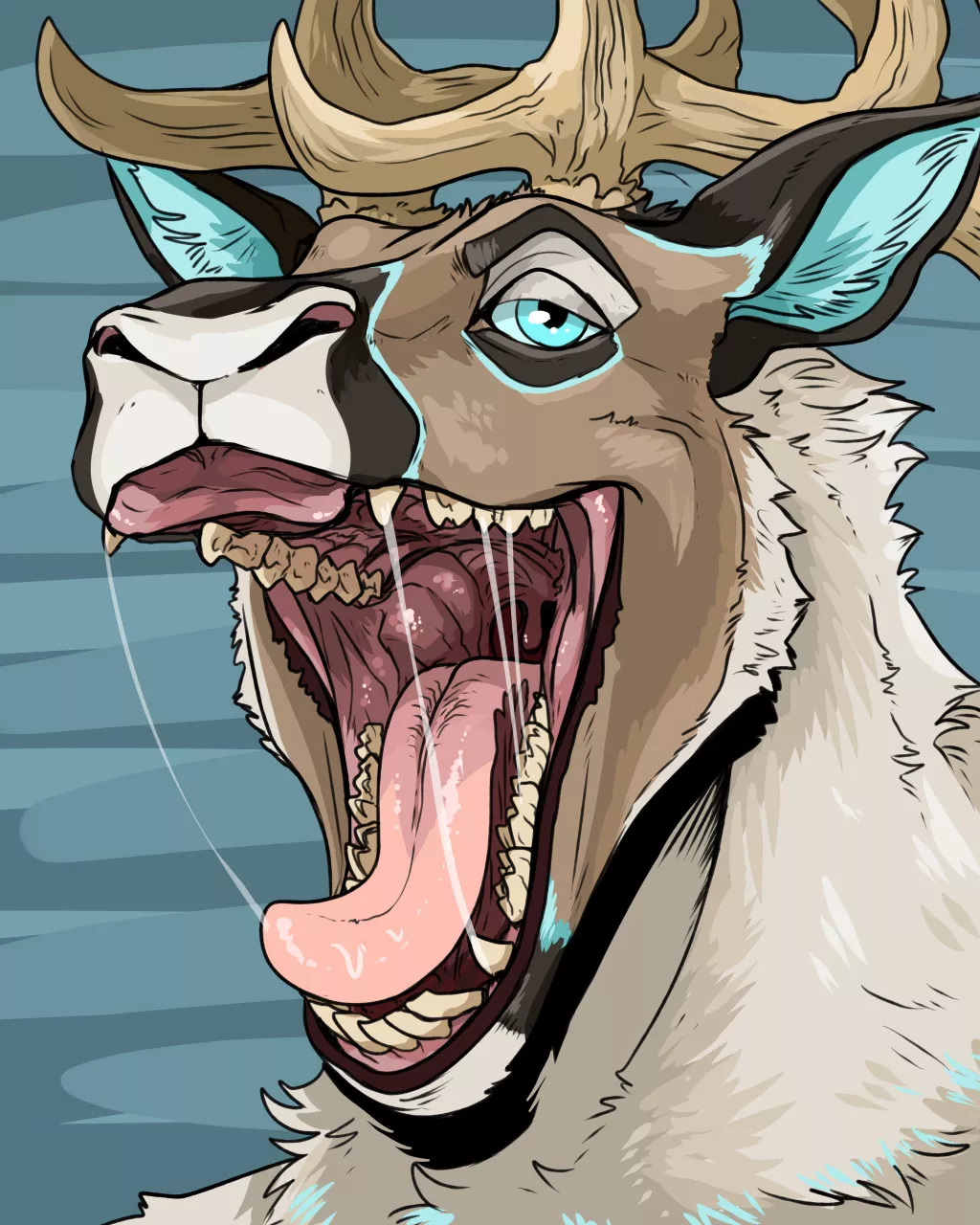 Hungry caribou sizing you up Hungry caribou sizing you up