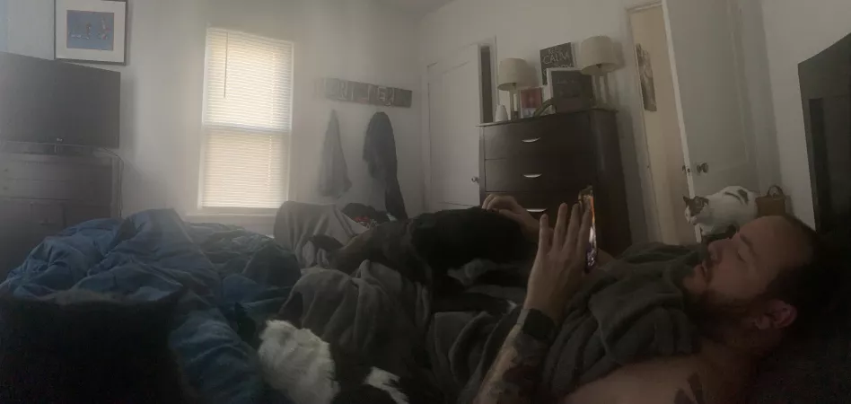 Husband and all of the animals chilling on Saturday morning. All my favorite boys. Husband and all of the animals chilling on Saturday morning. All my favorite boys.