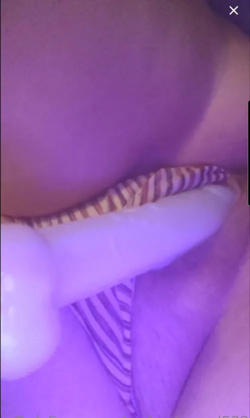 I absolutely love this toy!! Maybe I'll stick it to the wall and see what happens! I absolutely love this toy!! Maybe I'll stick it to the wall and see what happens!