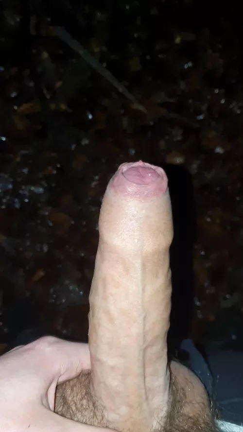 I almost got caught taking this pic