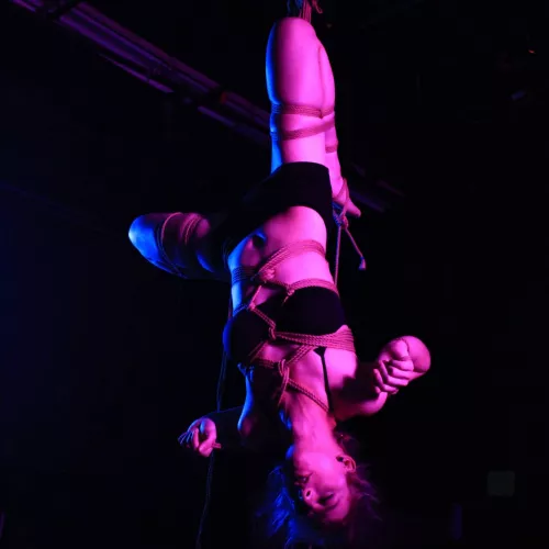 I am addicted to single Futomomo suspensions