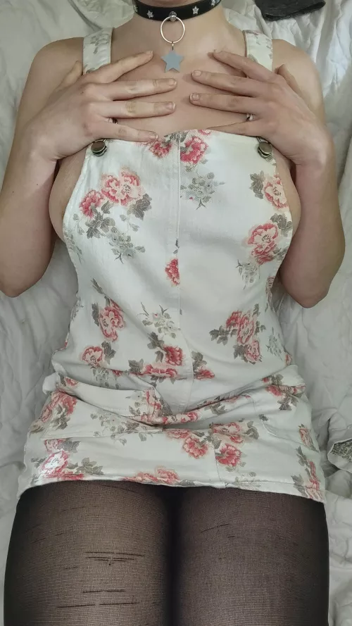 I appear to be lost with no tag 🥺