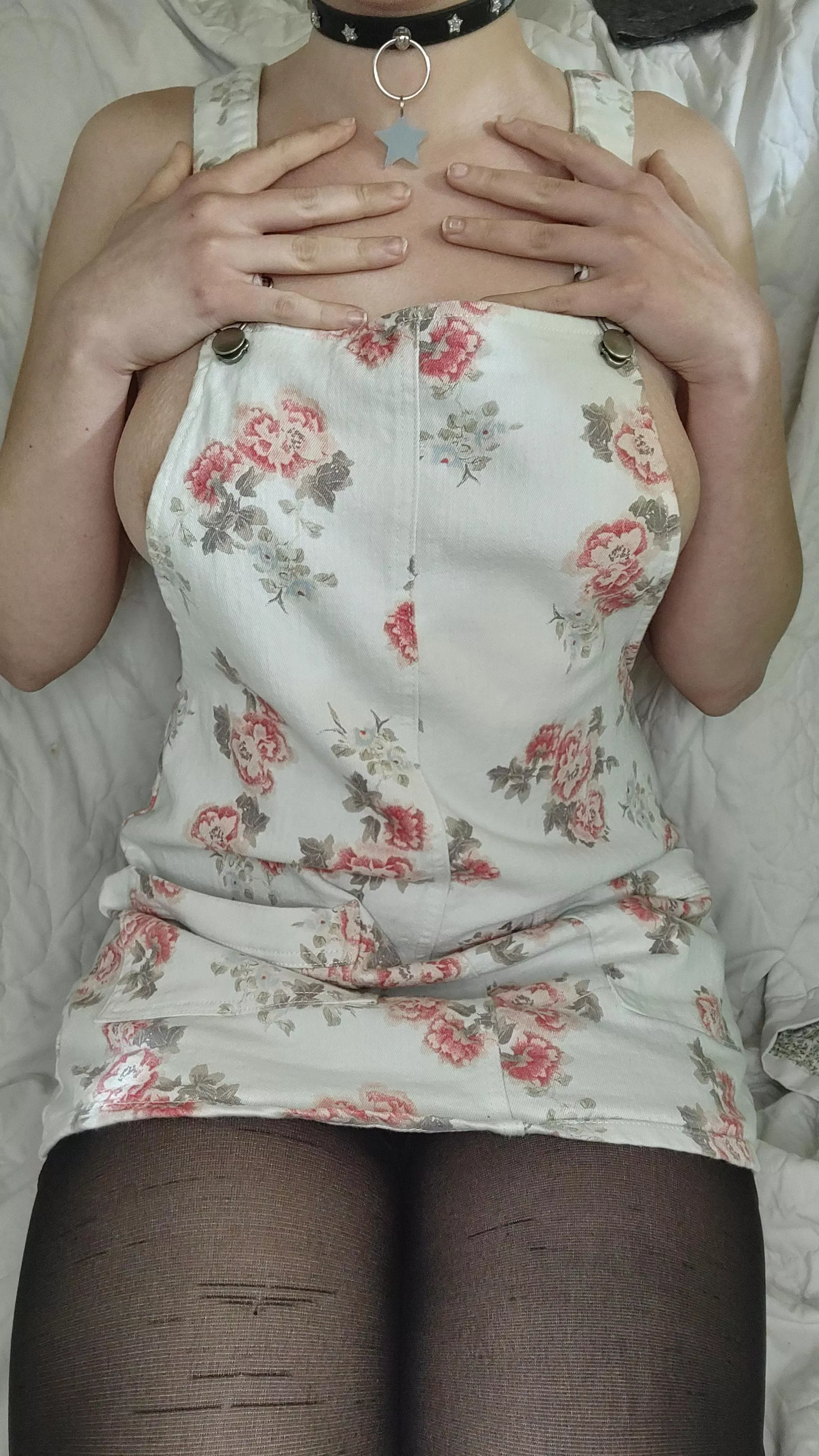 I appear to be lost with no tag 🥺