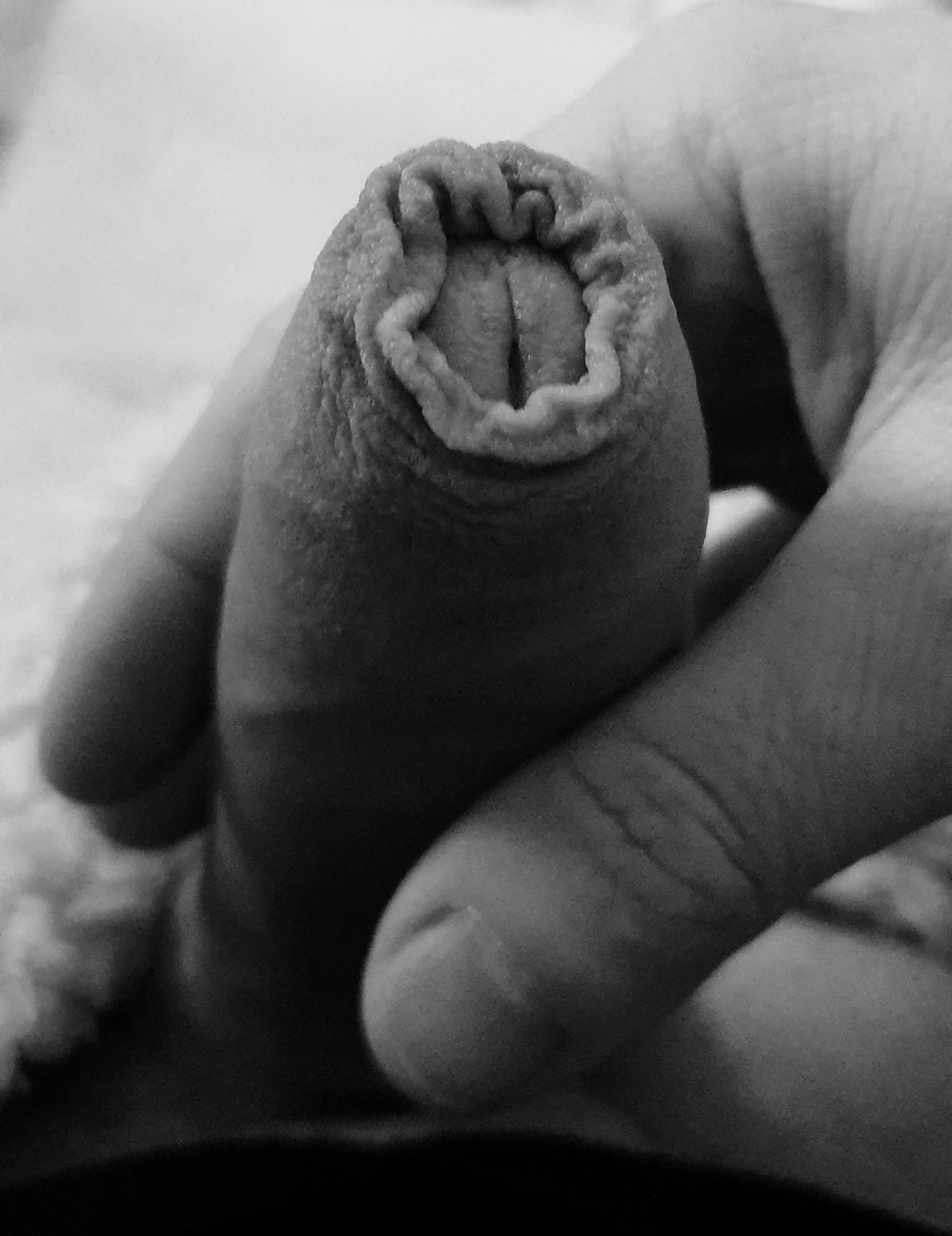 I appreciate that I'm still whole.. I appreciate that I'm still whole..