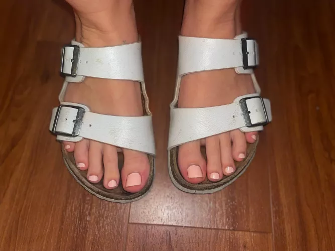 i bet you would look good down there sucking my toes mister π¦π