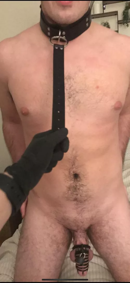 I ♥️ caging men. What should I make my butch boy do for me next before I even think about uncaging him??