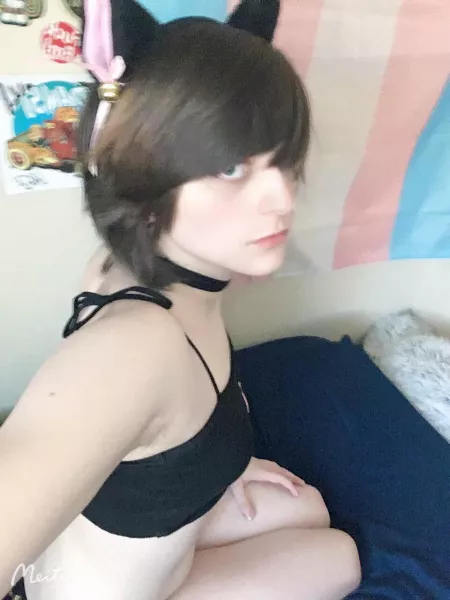i can be ur catgirl ??
