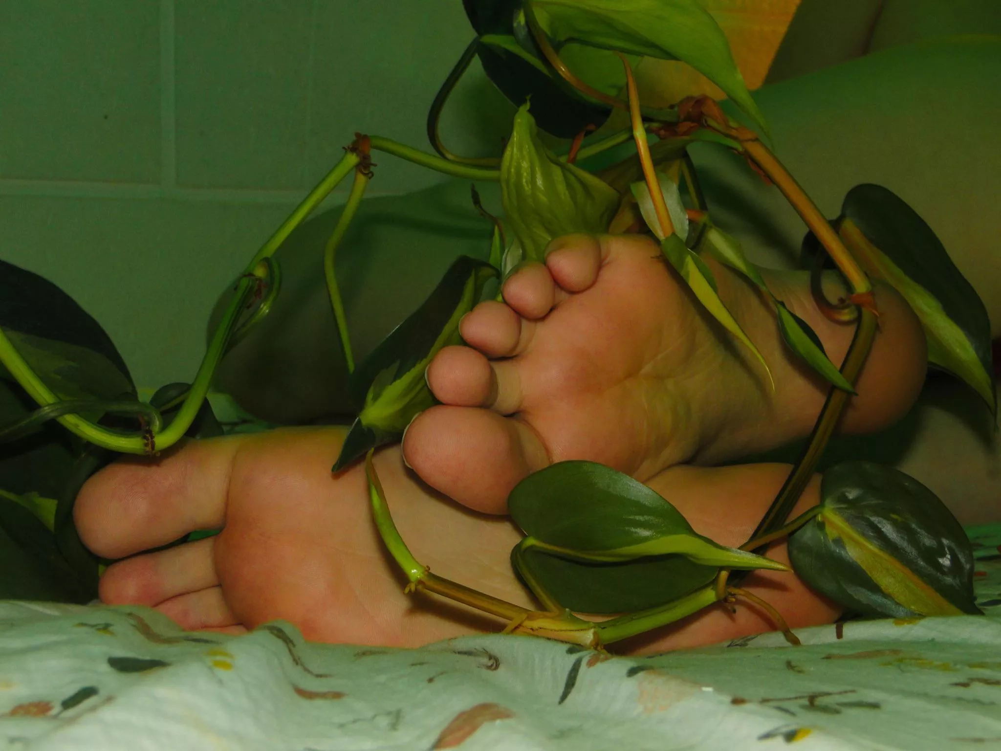 I can be your Poison Ivy 🌿💋 I can be your Poison Ivy 🌿💋