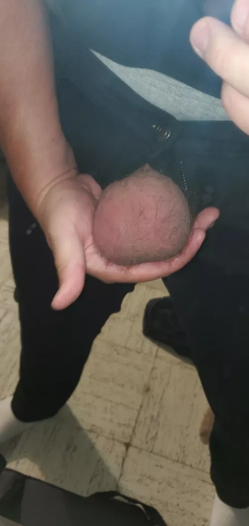 I can palm a basketball I can palm a basketball