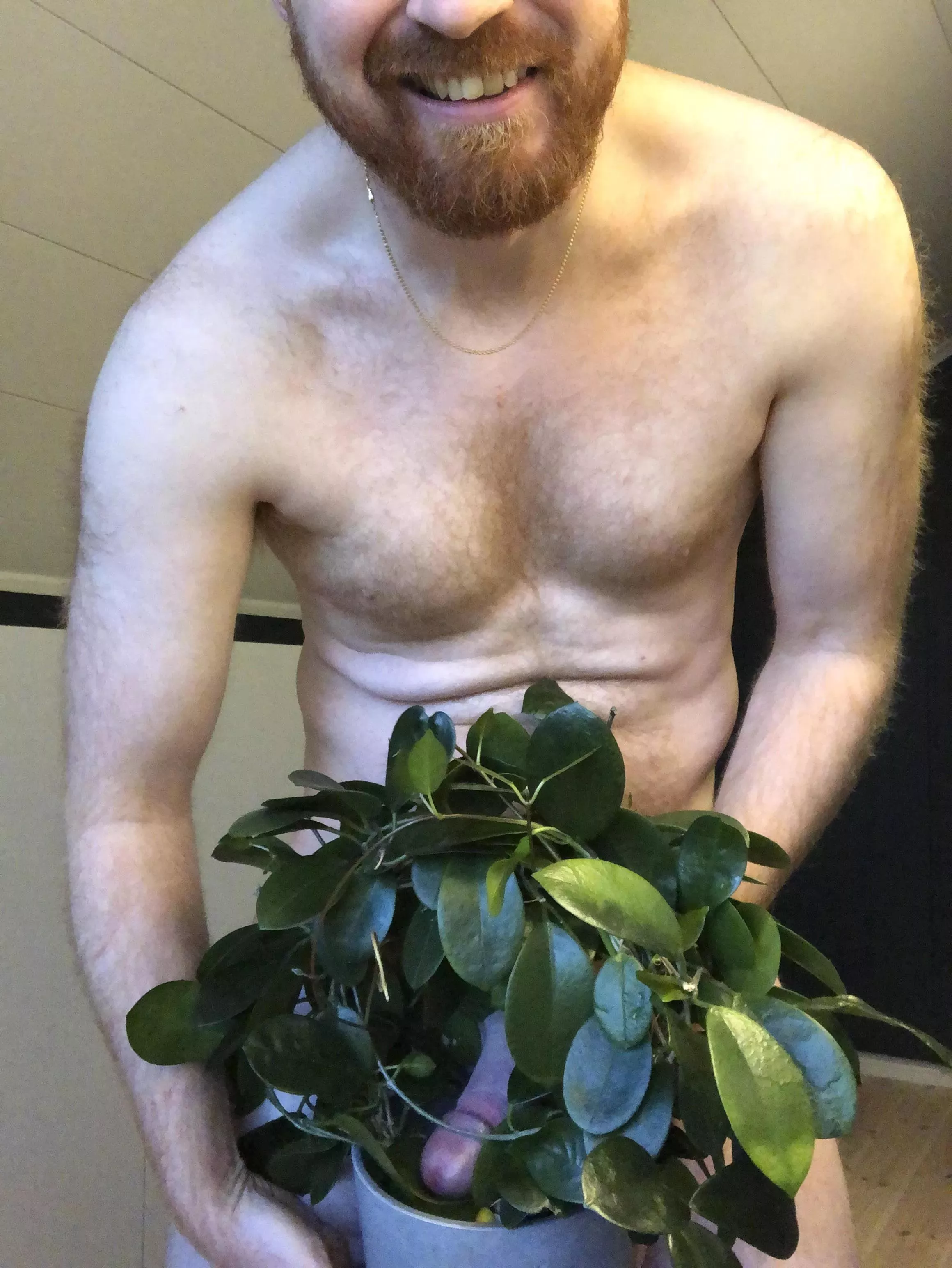 I can’t be the only one having snakes in my plants?