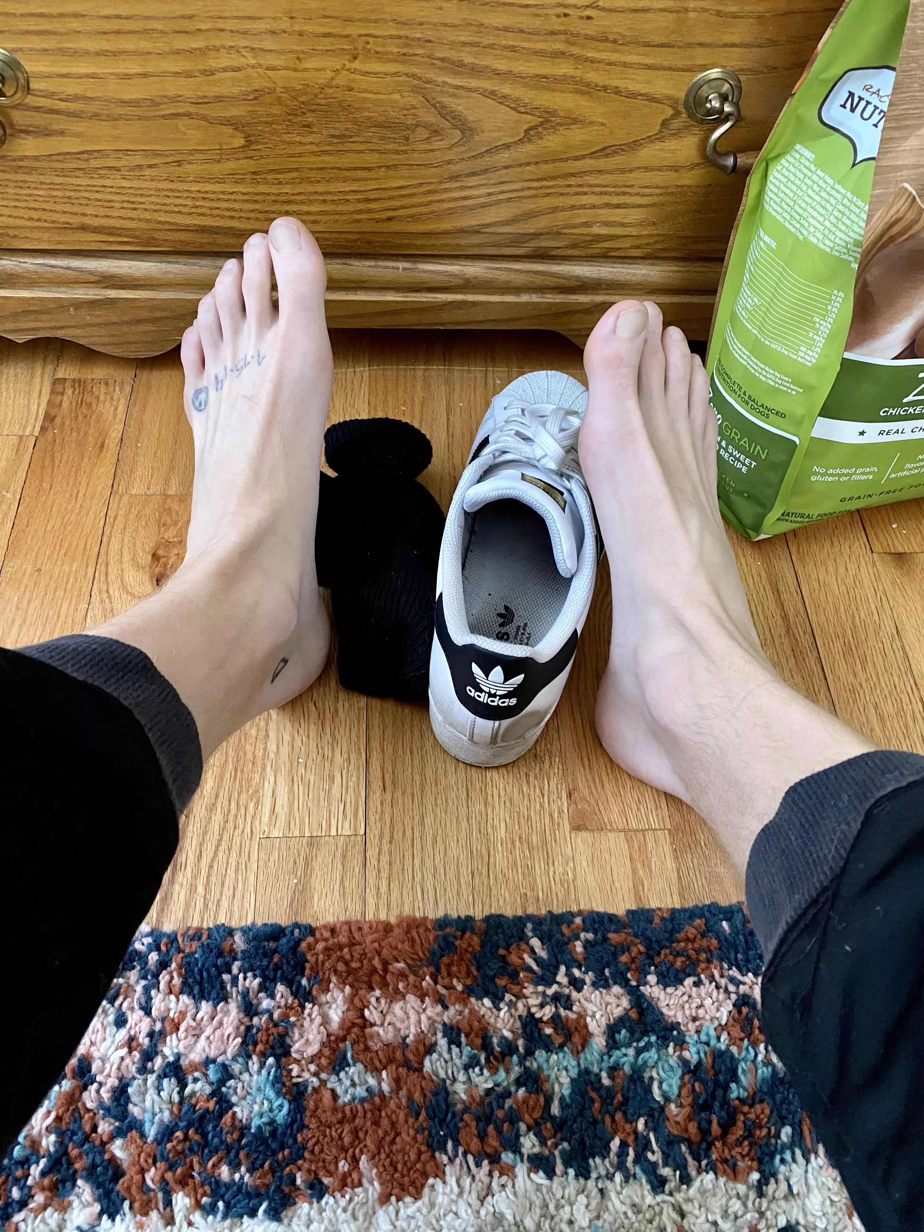 I can’t find my other shoe. Are you off sniffing it somewhere?