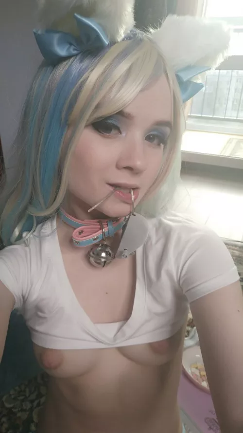 I caught a mouse for you ?