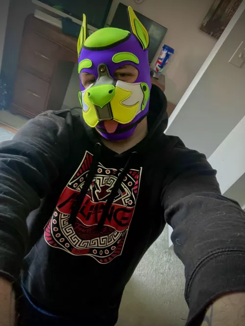 I come begging for cuddles!