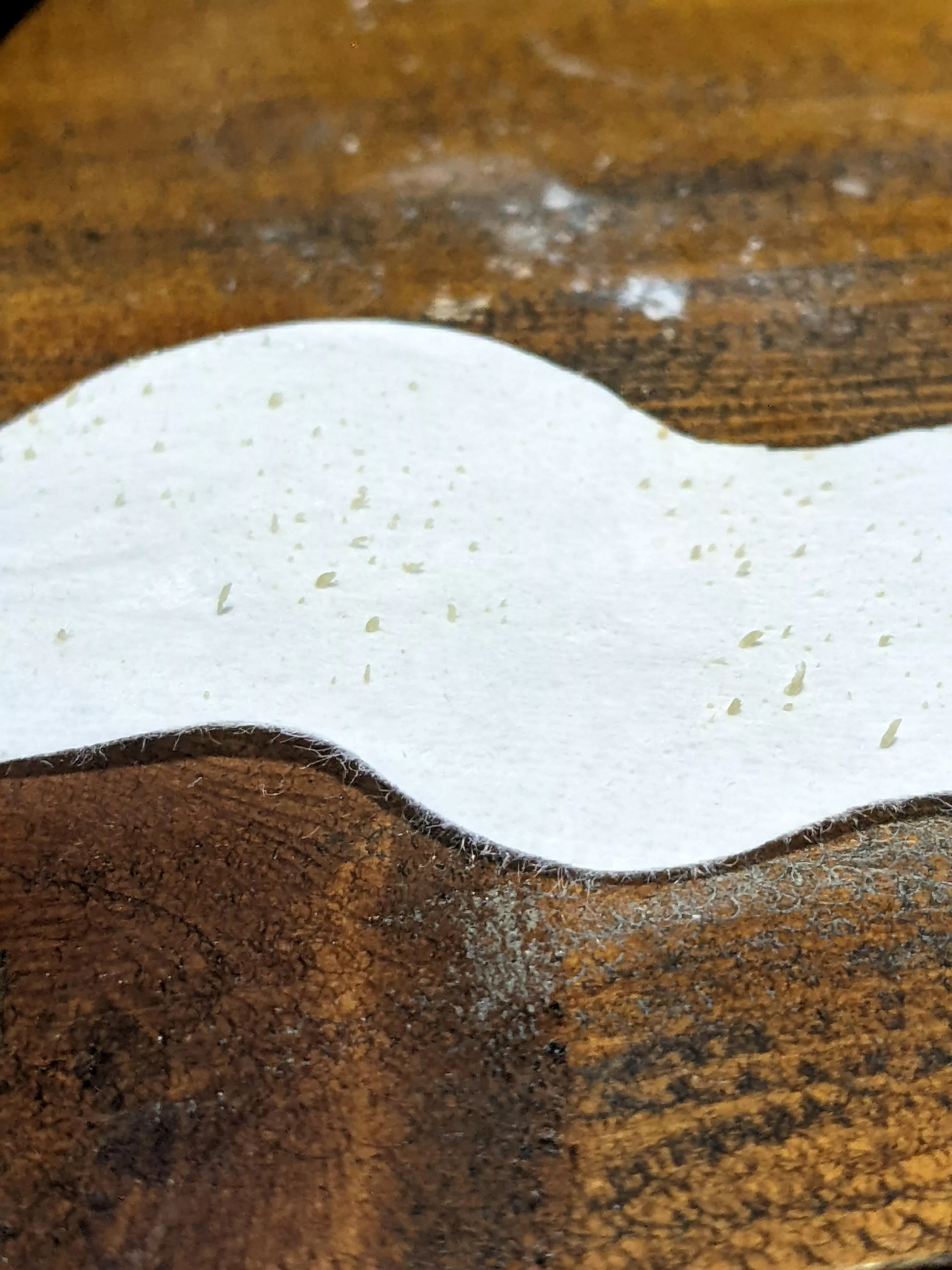 I could feel these things as I washed my face