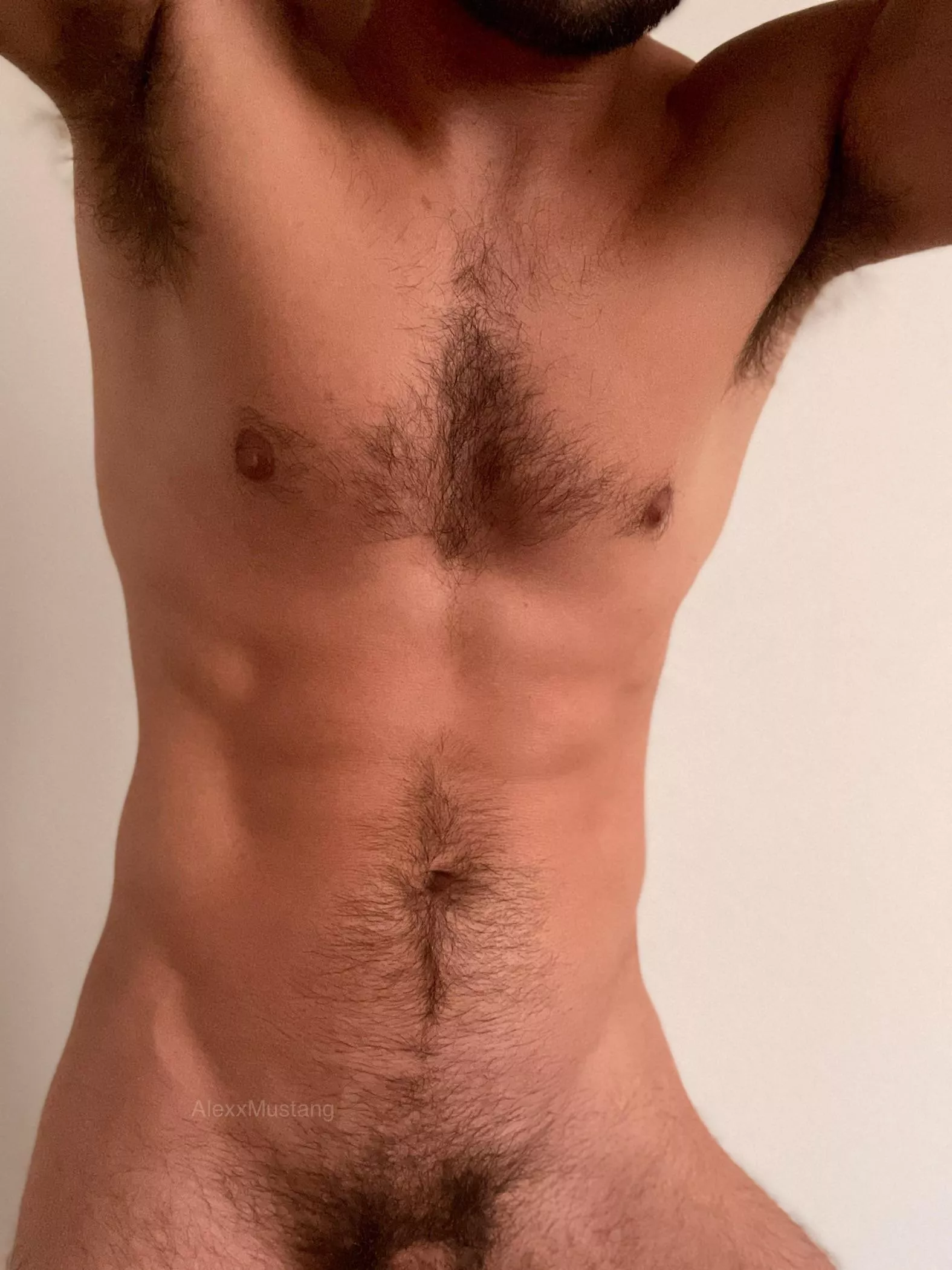 I could use a massage. I could use a massage.