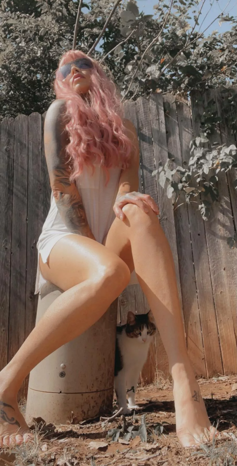 I could wrap these around you so tight ?