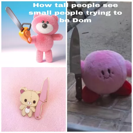 I don’t know if other littles have tried being switch but…