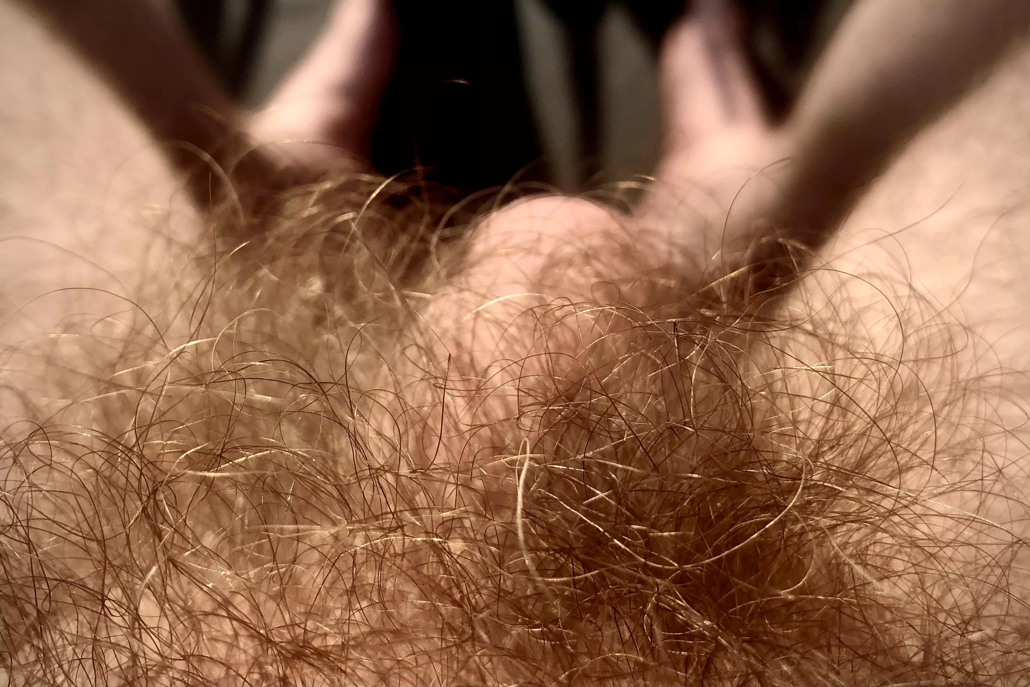 I don’t suppose they cum much more hairy? I don’t suppose they cum much more hairy?