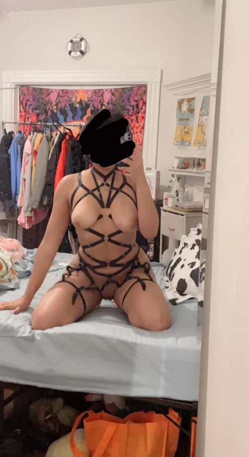 I feel so sexy in a harness