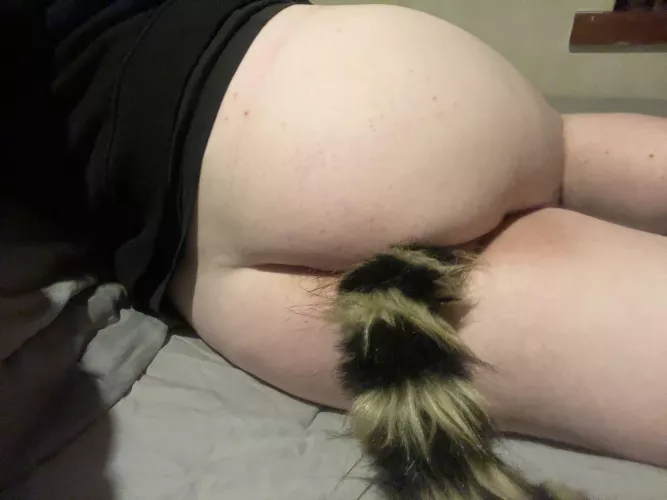 I finally got some sissy clothes so I can have my bussy and clit on show a lot more on Reddit 🥰 my dms are opens for alpha men to degrade me 😋