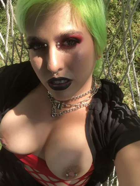 I flashed my neighborhood on my hammock out front I flashed my neighborhood on my hammock out front