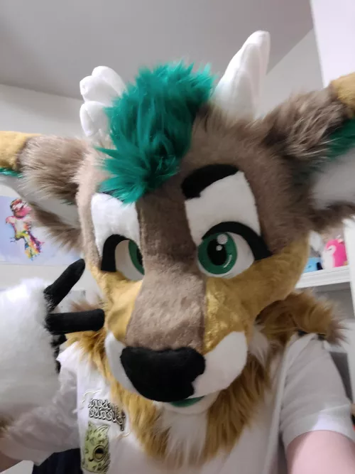 I forgot Fursuit Friday but I still want to show off my new boy Moss! Maker is @coycraftstudios :)