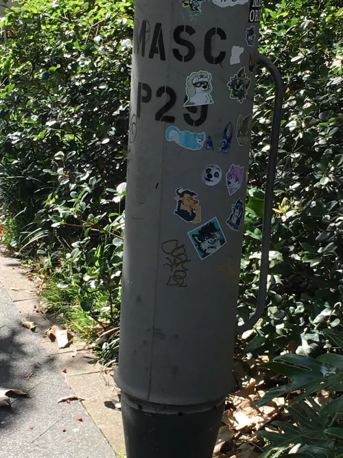 I found the local fire hydrant