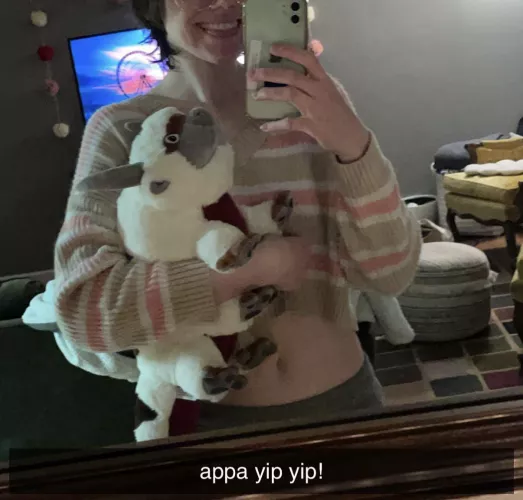 i got a appa plushie!!!! i love him so much he’s so soft😋 time to cuddle with my new friend and watch a movie🥰