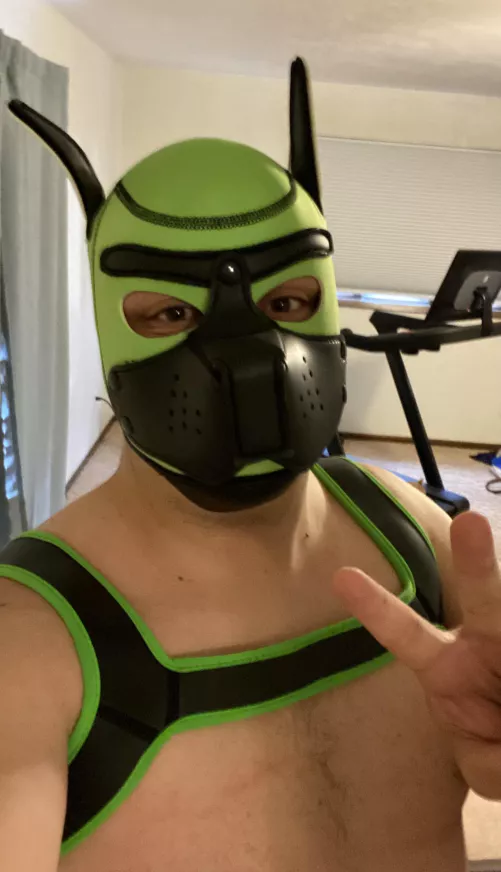 I got a new hood today. What do you all think? I got a new hood today. What do you all think?