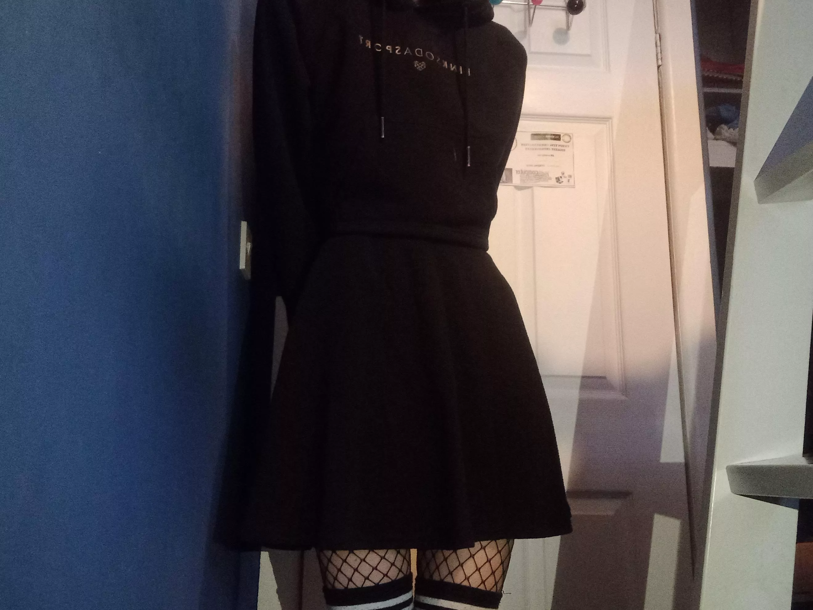 I got a new skirt :3 (and fishnets)