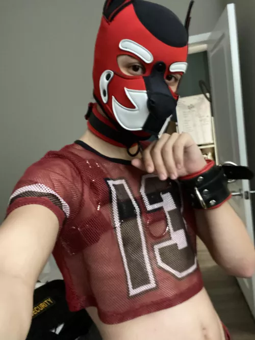 I got my first custom hood! Am I a good pup?