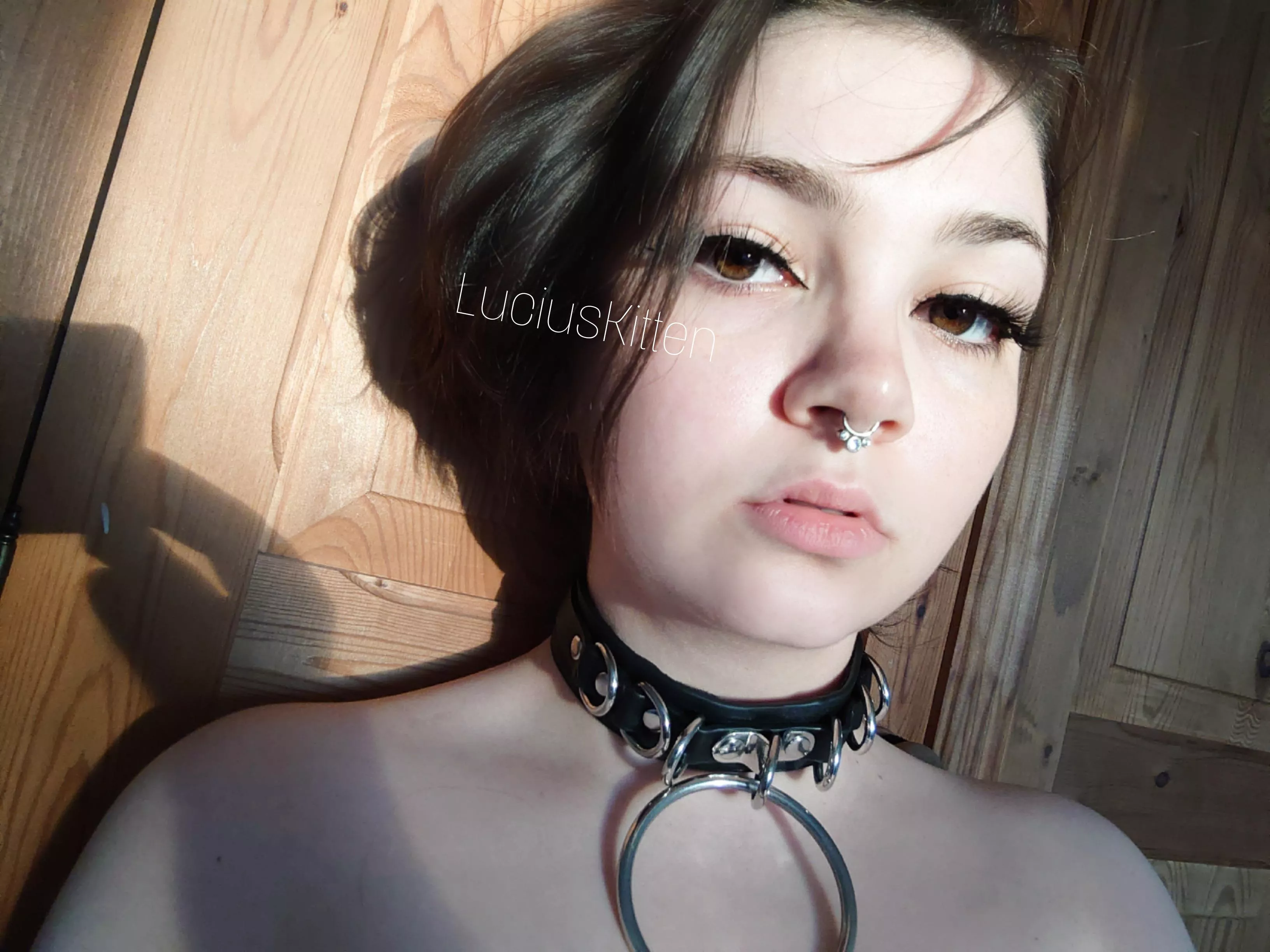 I got my first set of false lashes, what do you think??