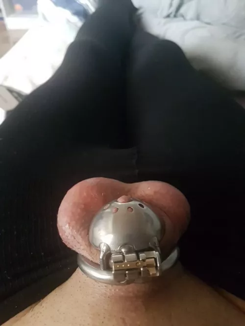 I got my new cage, how long should i stay locked? I got my new cage, how long should i stay locked?