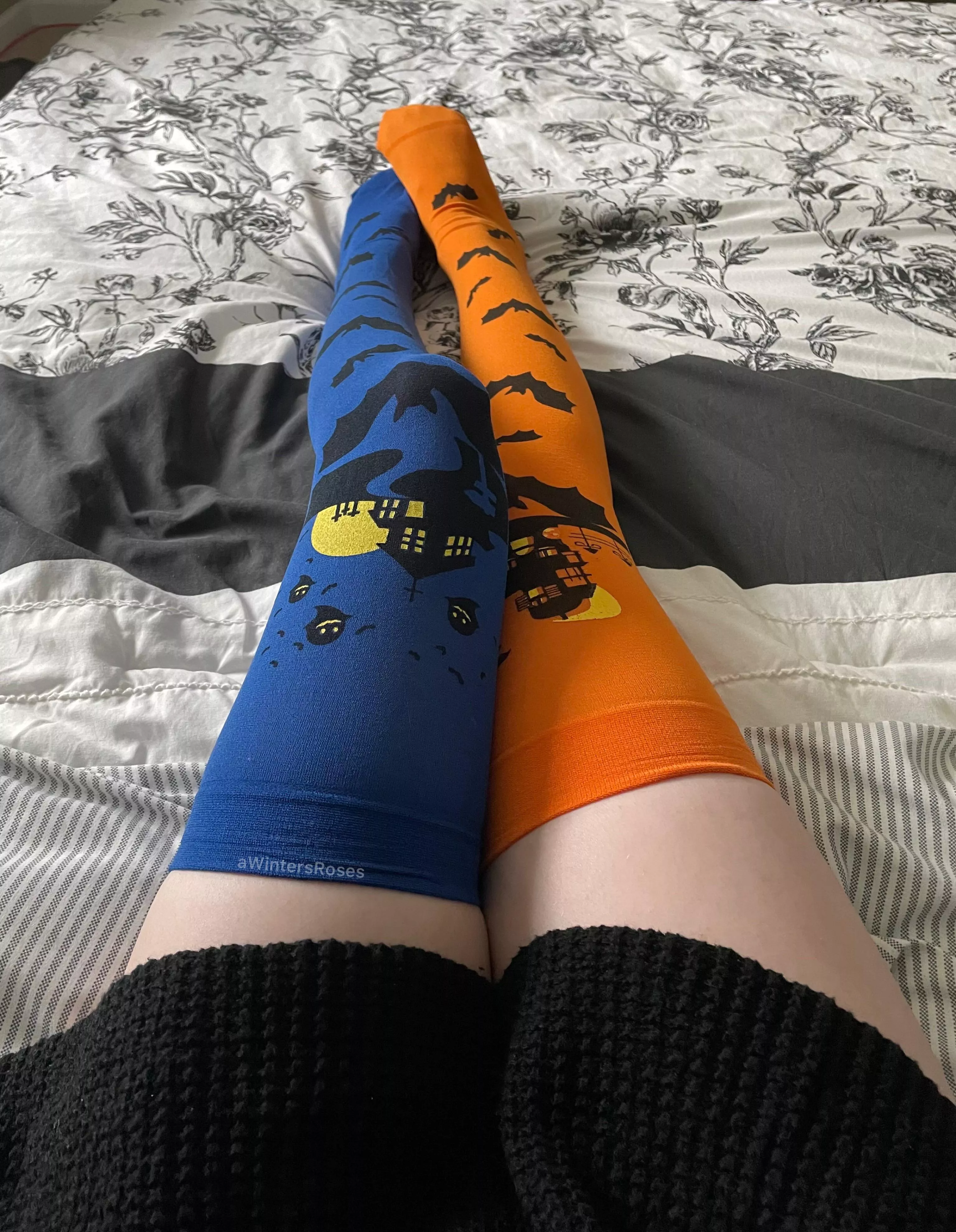 I GOT THE SPOOKY SOCKS FOR THE SPOOKY SEASON??