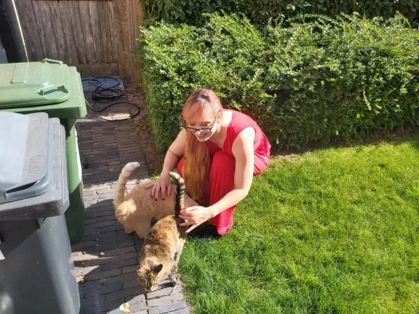 I had the honor of being a bridesmaid this weekend and met these cats before I got to the wedding. Can you feel the love? [F]