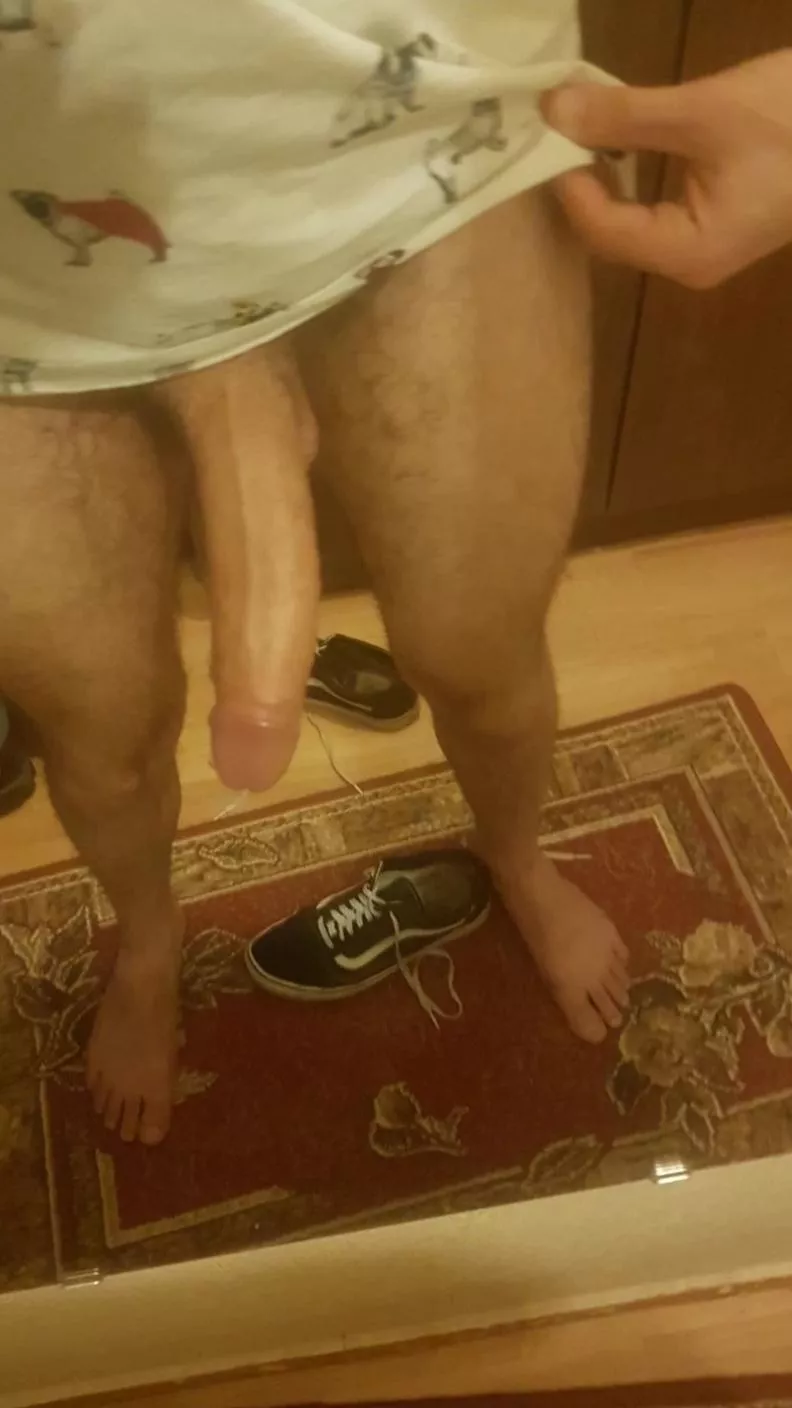 i hate pugs i hate pugs