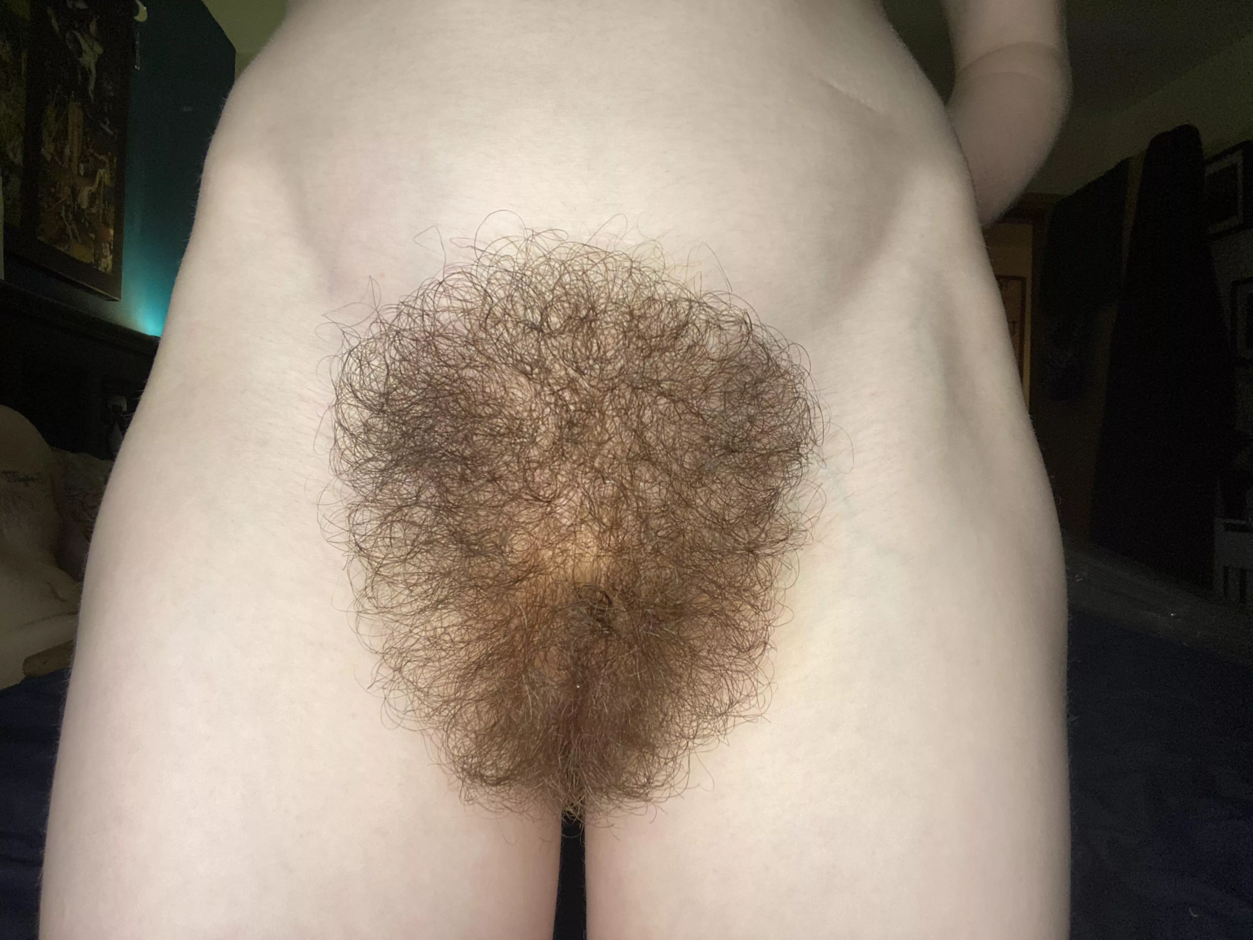 I have a hairy pussy fetish that I am living out… do you have one too? 🌳