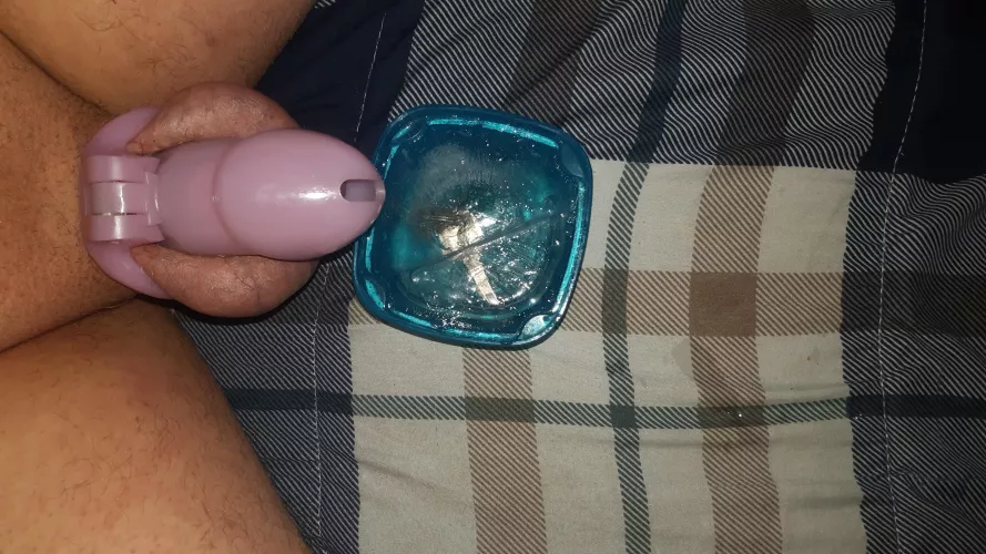 I have been in chastity since yesterday and the keys are frozen in ice now i cant get out! I have been in chastity since yesterday and the keys are frozen in ice now i cant get out!