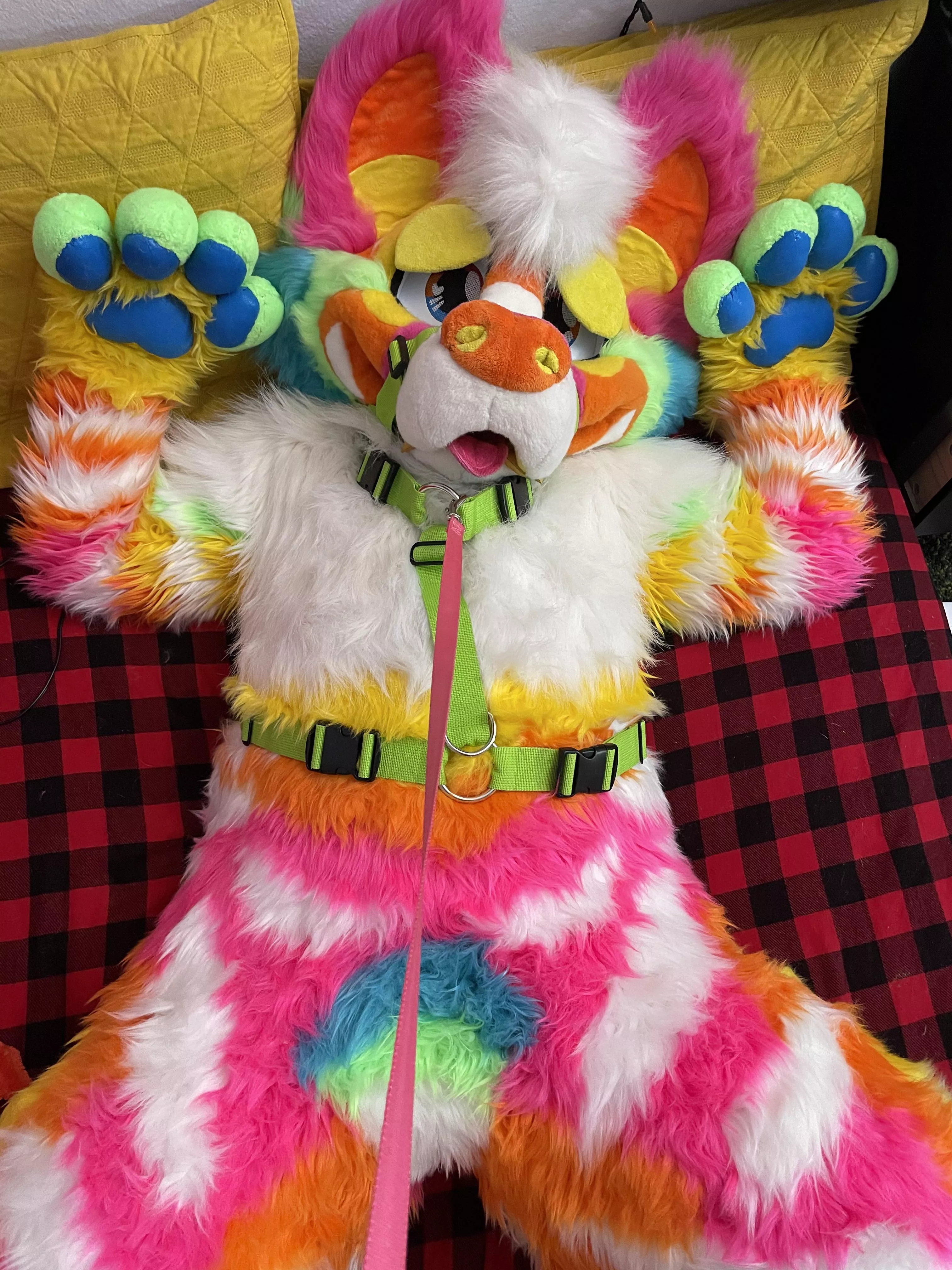 i have to be kept on a tight leash :p i have to be kept on a tight leash :p