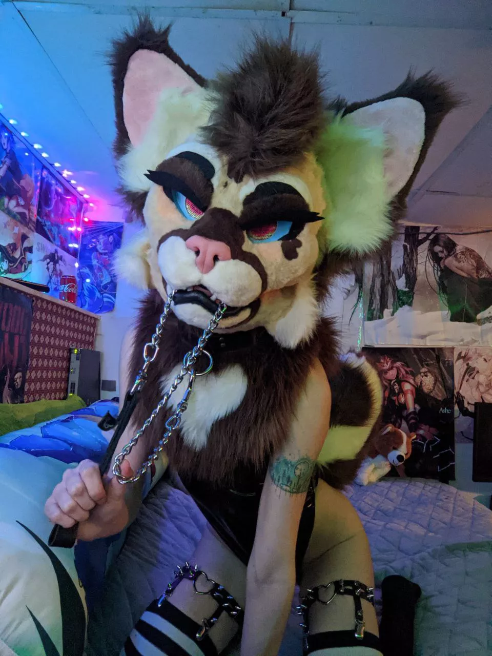 I haven't posted in a while so here is my new suit