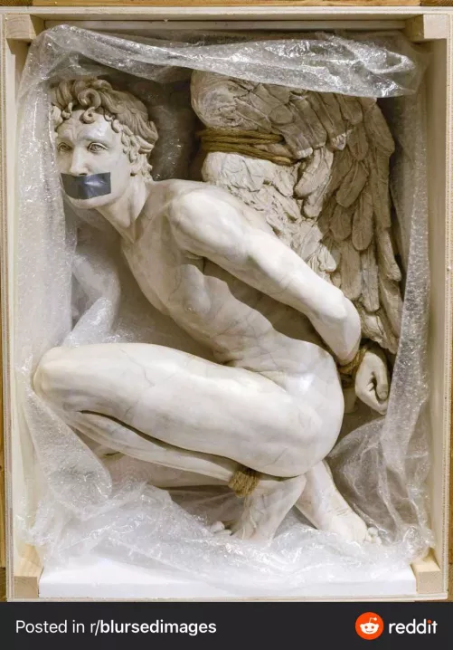 I heard these were popular here…