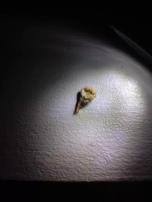 I heard u guys like this kinda thing so I dug it outta the archives! not as impressive as the other bellybutton post :( felt v good when it was out tho :D