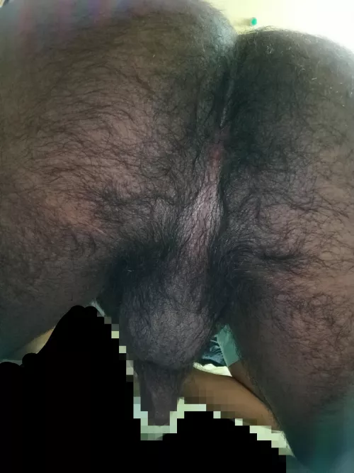 I heard you guys like hairy ass